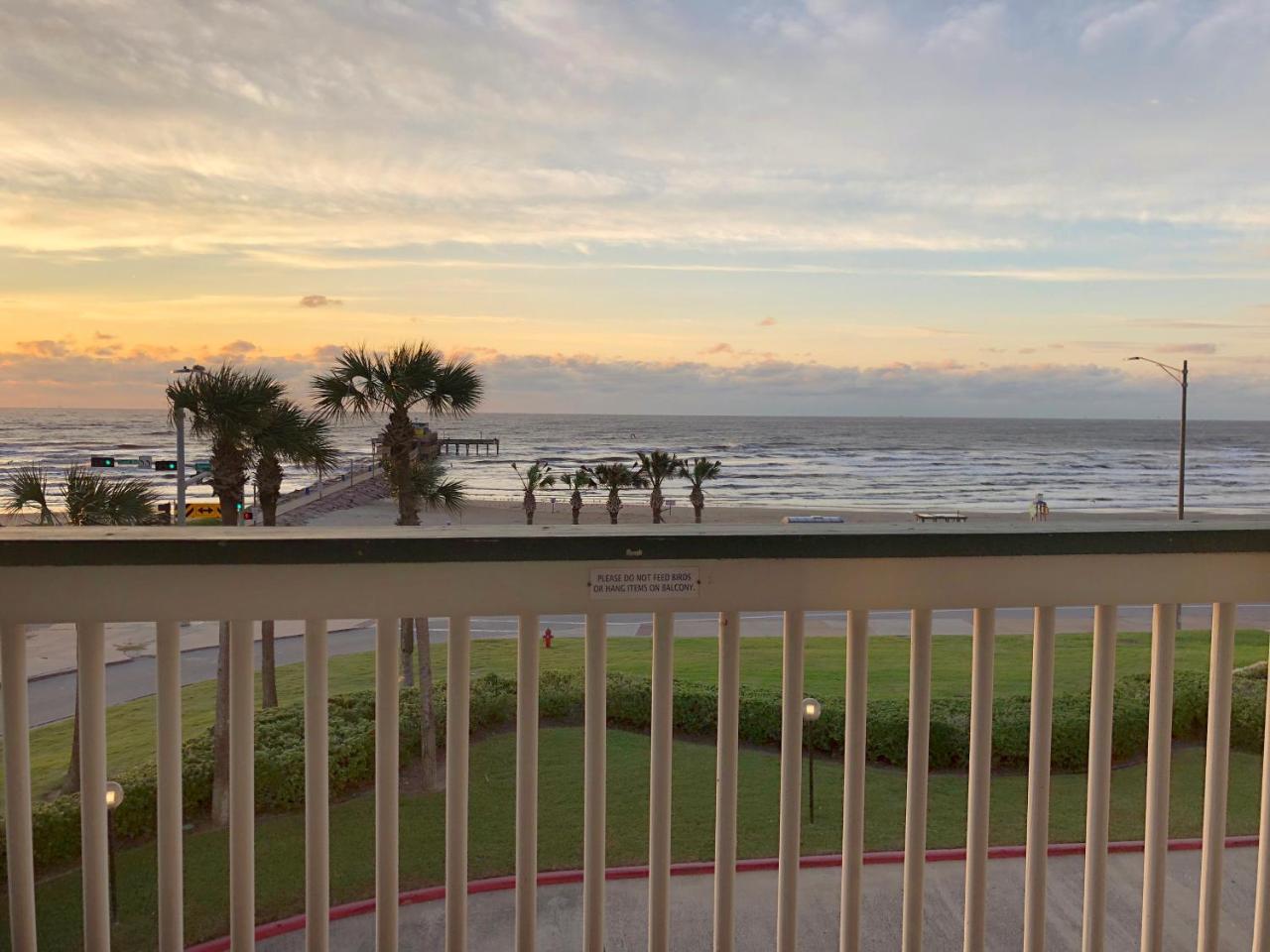 Cdm 304 - Beachfront Serenity Galveston Exterior foto